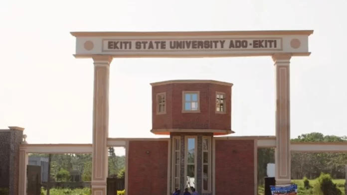 The head of the EKSU alumni organization wants the government to prioritize funding for education.