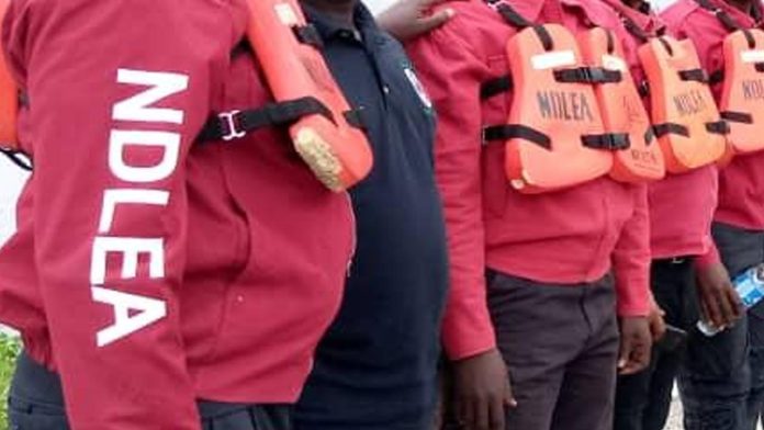 NDLEA seizes 6,668 tonnes of illicit substances in two years