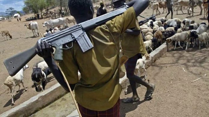 Herdsmen attack travellers on Benue-Nasarawa road, kill three, injure others