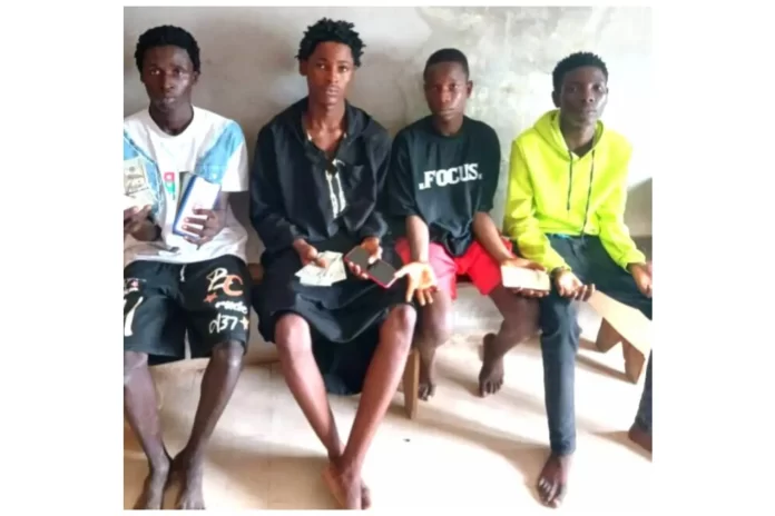 Due to cybercrime, four minors were detained in Adamawa.