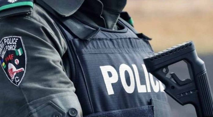 Police seize firearms from cultists and armed robbers in Delta.