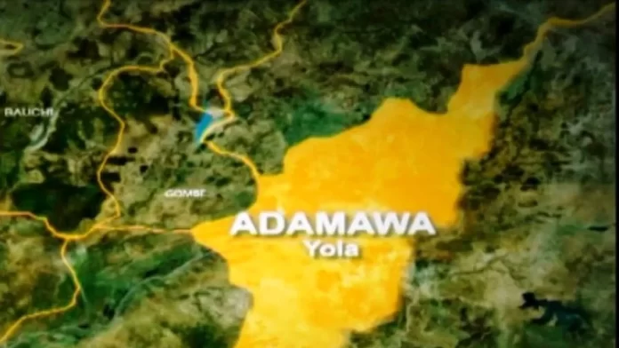 A 30-year-old man in Adamawa defiles a baby.