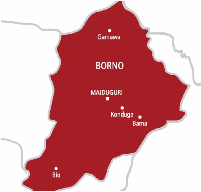 In Borno, a suspected ISWAP informant was detained