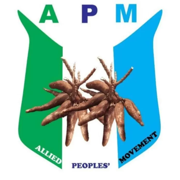 Poor leadership, ill-conceived policies bane of Nigeria – APM